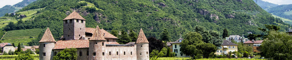 Blick auf Bozen