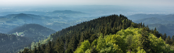 Hotel Bad Wildbad