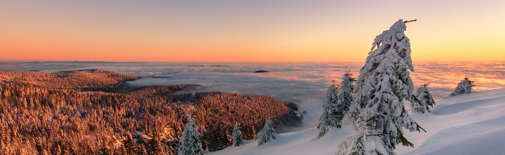 Wellness Schwarzwald