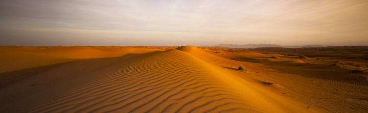 Urlaubsziele in den Vereinigten Arabischen Emiraten